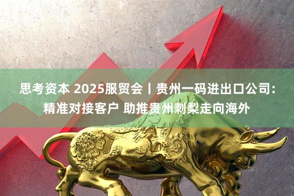 思考资本 2025服贸会丨贵州一码进出口公司：精准对接客户 助推贵州刺梨走向海外