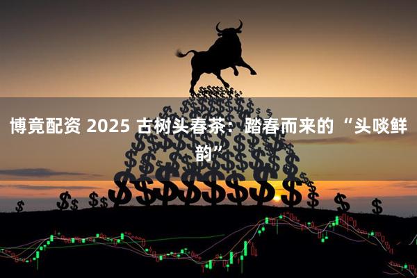 博竟配资 2025 古树头春茶：踏春而来的 “头啖鲜韵”