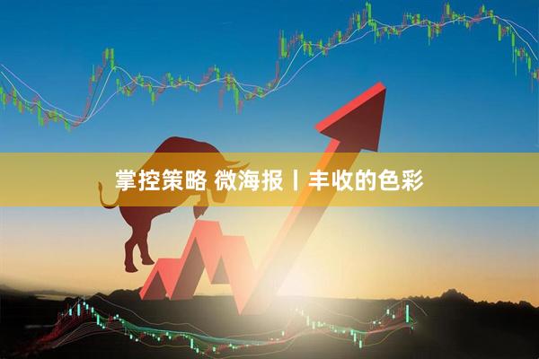 掌控策略 微海报丨丰收的色彩