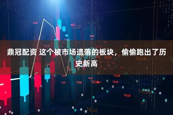 鼎冠配资 这个被市场遗落的板块，偷偷跑出了历史新高