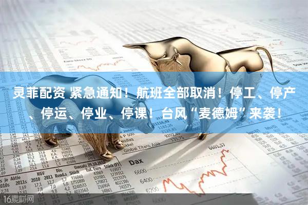 灵菲配资 紧急通知！航班全部取消！停工、停产、停运、停业、停课！台风“麦德姆”来袭！