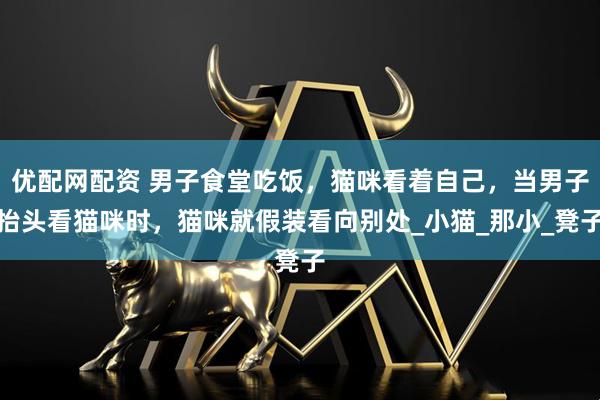 优配网配资 男子食堂吃饭，猫咪看着自己，当男子抬头看猫咪时，猫咪就假装看向别处_小猫_那小_凳子