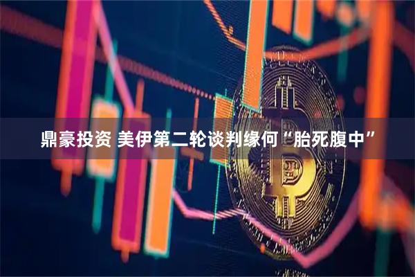 鼎豪投资 美伊第二轮谈判缘何“胎死腹中”